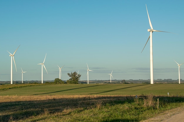 Windmühlenfeld