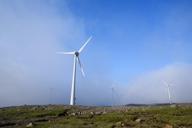 Windpark auf den Färöern