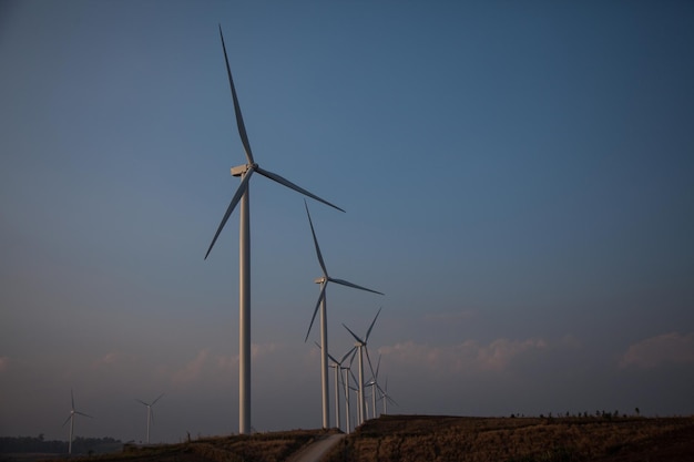 Windpark der Silhouette bei Sonnenuntergang