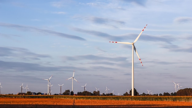 Windpark im Feld Windturbinen drehen sich, um bei Sonnenuntergang Strom, alternative Energie und grüne Technologie zu erzeugen