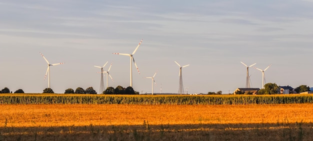 Windpark im Feld Windturbinen drehen sich, um bei Sonnenuntergang Strom, alternative Energie und grüne Technologie zu erzeugen