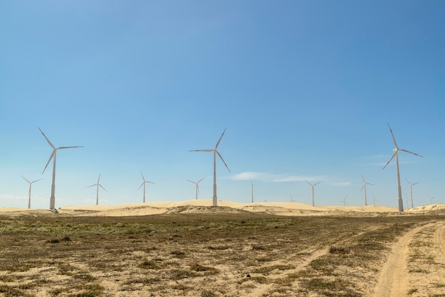 Windpark in den Dünen des brasilianischen Bundesstaates Ceara