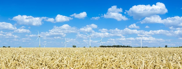 Windpark mit Windrädern auf landwirtschaftlich korngefüllter Landschaft mit bewölktem Himmel