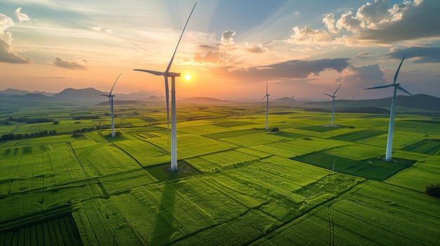 Windparks auf dem Gelände und auf See grüne Energie und Ökologie Sparen