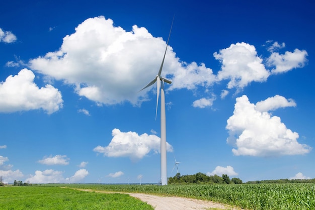 Windparks mit grüner Energie in Ontario, Kanada, produzieren saubere Energie und ersetzen die Kohleindustrie