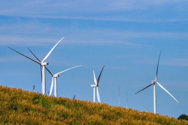 Windturbine hinter den Wiesenhügeln.