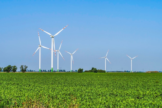 Foto windturbinen grüne energie auf dem ackerland mit einem klaren blauen himmel