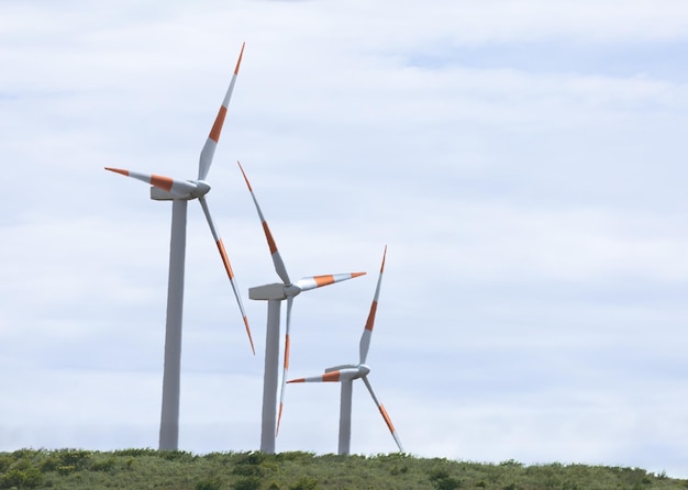 Windturbinengenerator erneuerbare grüne Energie