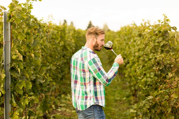 Winemaker im Weinberg