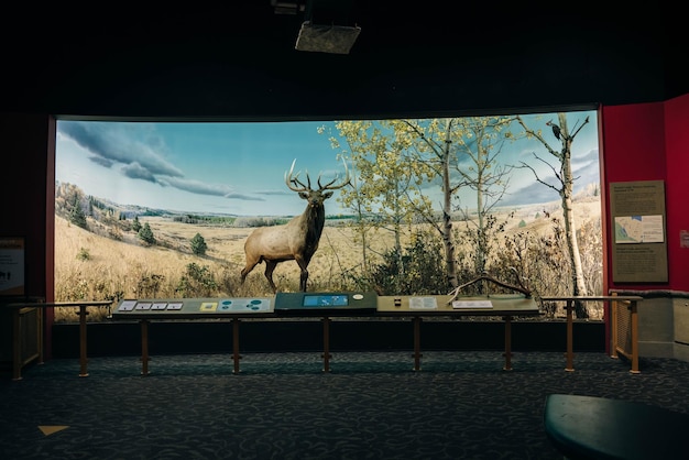 Winnipeg Canadá 2 de mayo de 2024 El Museo de Manitoba
