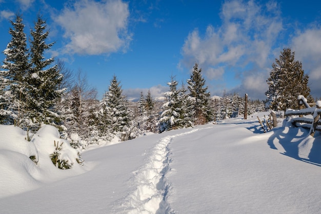 Winter abgelegenes alpines Bergdorf Stadtrand Landschaft Hügel Haine und Ackerland