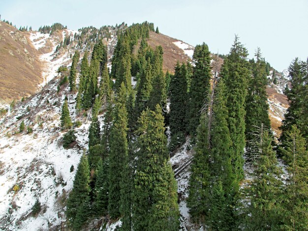 Winter Berglandschaft