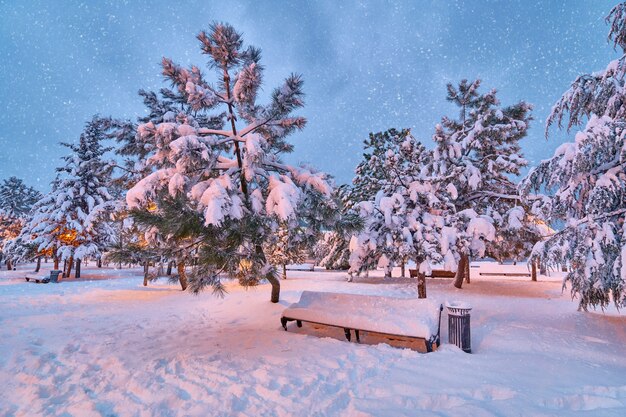 Winter bezaubernde Märchenlandschaft