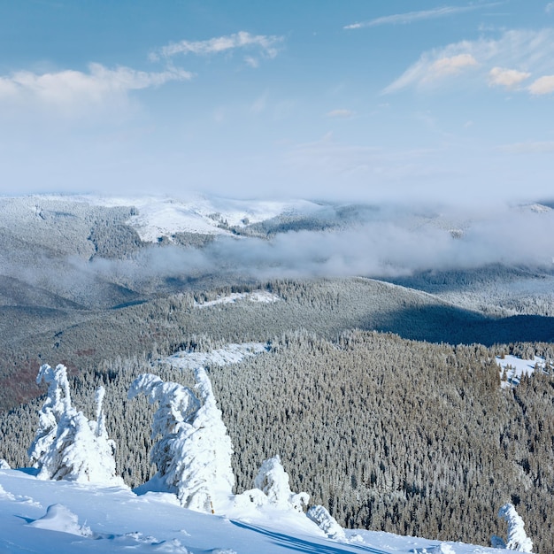 Foto winter-gebirgslandschaft mit verschneiten bäumen