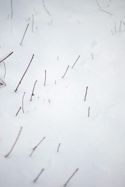 Winter Hintergrund Minimalismus Natur Äste unter dem Schnee
