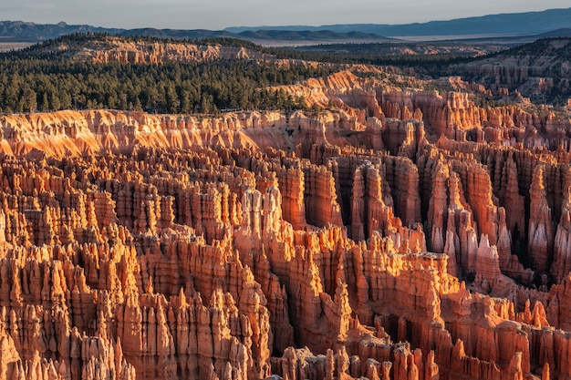 Winter im Bryce Canyon Nationalpark, Utah, USA