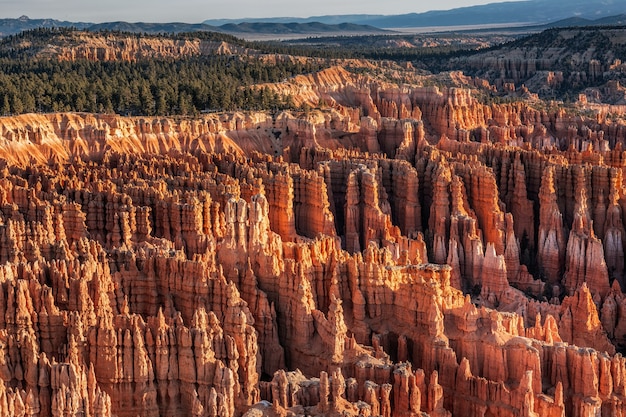 Winter im Bryce Canyon Nationalpark, Utah, USA