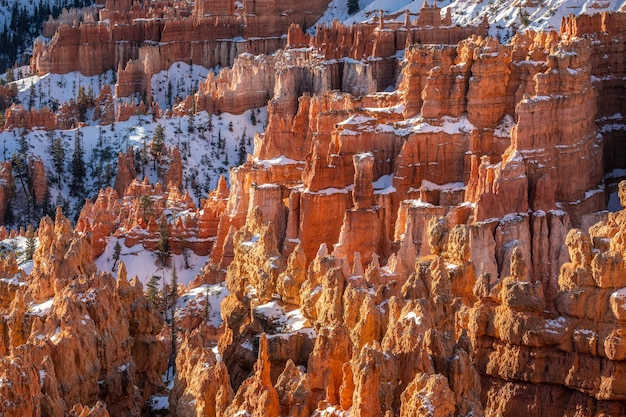 Winter im Bryce Canyon Nationalpark, Utah, USA