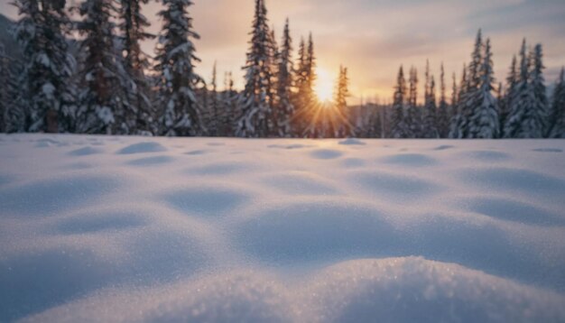 Winter im Freien weiße Schnee Szene schöne Landschaft Tapete Hintergrundfotografie Schneearbeit