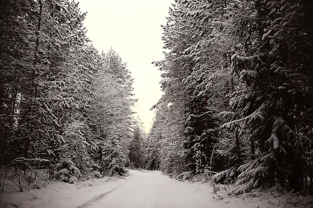 Winter im russischen Dorf / Winterlandschaft, Wald in Russland, schneebedeckte Bäume in der Provinz