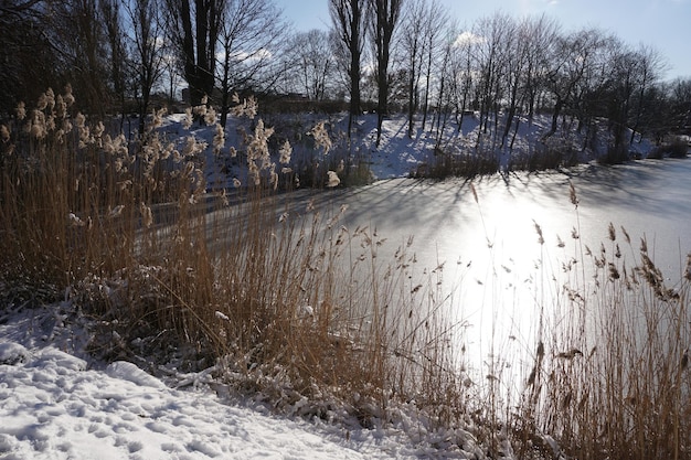 Winter im Stadtpark mit Sonne, die sich im See widerspiegelt