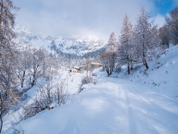 Winter in den italienischen Alpen Schöne Aussicht auf das idyllische Dorf im verschneiten Wald und die schneebedeckten Berggipfel Piemont Italien