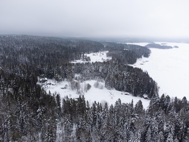 Winter in einem Fichtenwald Fichten mit weißem, flauschigem Schnee bedeckt