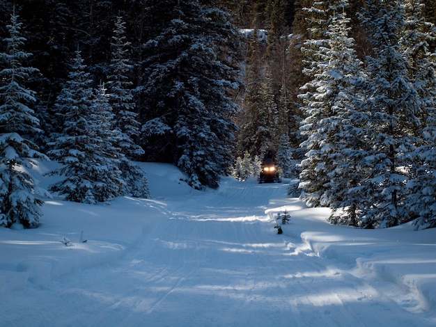 Winter in San Juan Mointains, Colorado.