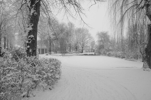 Winter in Westfalen