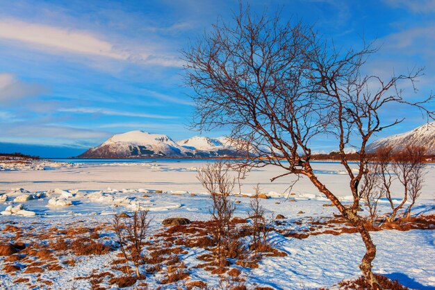 Winter Norwegen LANDSCHAFT