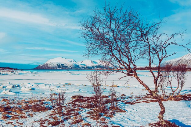 Winter Norwegen LANDSCHAFT