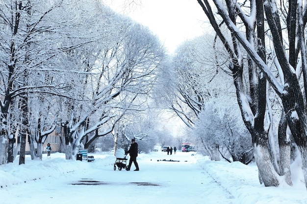 Winter park rama de la planta cubierta de nieve.