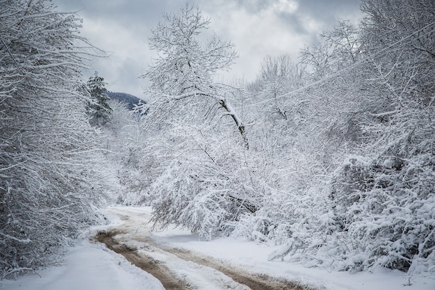 Winter road estrada rural que passa por uma paisagem montanhosa de inverno