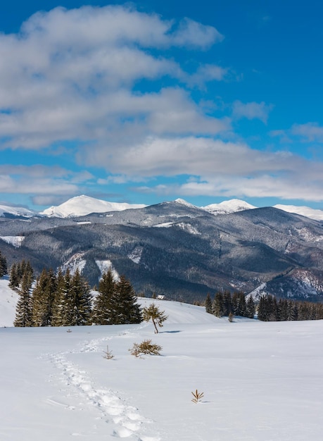 Winter schneebedeckte Karpaten Ukraine