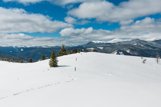 Winter schneebedeckte Karpaten Ukraine