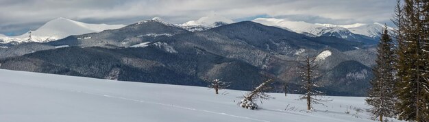 Winter schneebedeckte Karpaten Ukraine