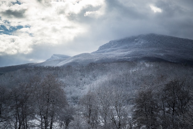 Winter Schneelandschaften, Berge und Wald