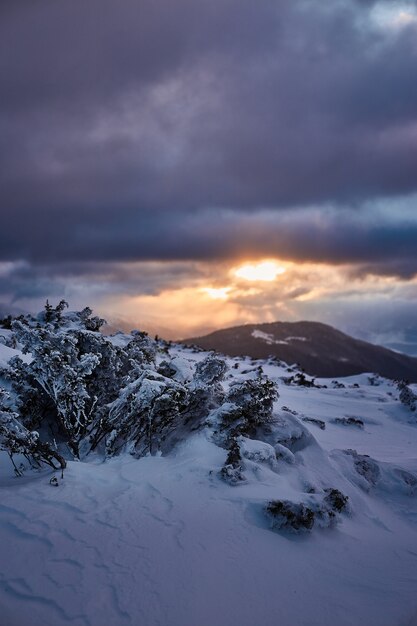 Winter Sonnenaufgang Landschaft in schneebedeckten Bergen