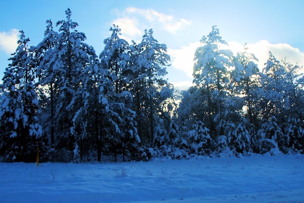 Winter Szenen