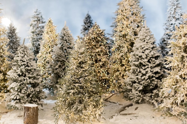 Winter verschneite Fichtenwaldbäume