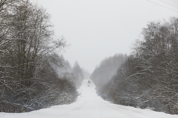 Winter verschneite frostige Landschaft Der Wald ist mit Schnee Frost und Nebel im Park bedeckt