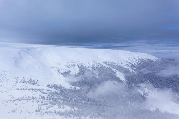 Winter Wald Wolken Landschaft Luftbild Bäume Hintergrund Reisen Sie ruhige Landschaft