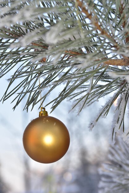 Winter Weihnachten und Neujahr