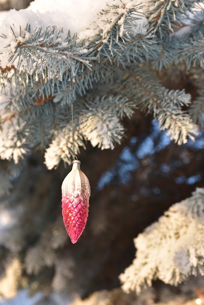 Winter Weihnachten und Neujahr