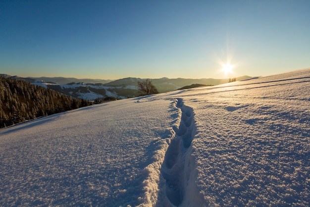 Winter Weihnachtslandschaft. Menschlicher Abdruckbahnweg im weißen tiefen Kristallschnee durch leeres Feld, waldiger dunkler Gebirgszug, weiches Glühen auf Horizont auf klarem Kopienraumhintergrund des blauen Himmels.