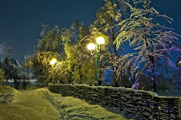 Winterabend im Park, verschneiter Abend im Park.