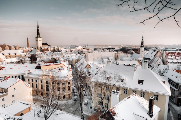 Winteransicht der Altstadt von Tallinn. Schneebedeckte Stadt in der Nähe der Ostsee. Estland.