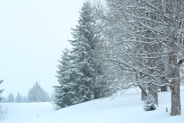 Winterberg neblige trübe schneebedeckte landschaft