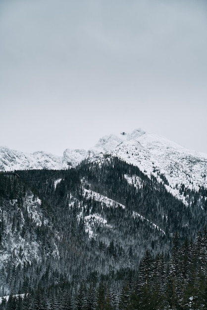 Winterberge Gipfelpanorama Die Landschaft eines schneebedeckten Berges Dramatischer Blick auf gefrorene Berge in Europa