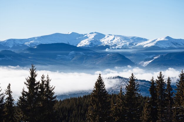 Winterberge mit Nebel